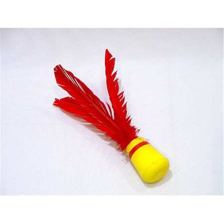 Everrich Industries Everrich 12in. L Foam Head Shuttlecocks, 6PK colors EVV-0002